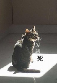 爱到死不如做到死